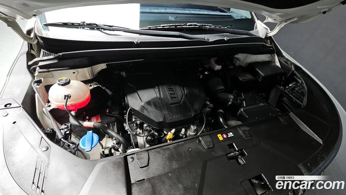 Kia Carnival — фото 10