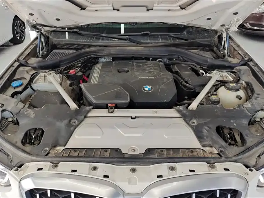 BMW X4 2023 из CN, фото 6