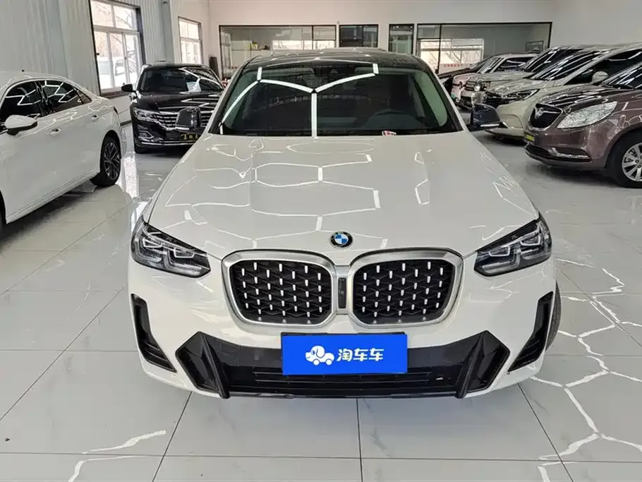 BMW X4 2023 из CN, фото 9