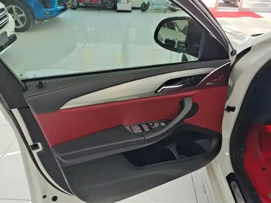 BMW X4 2023 из CN, фото 4