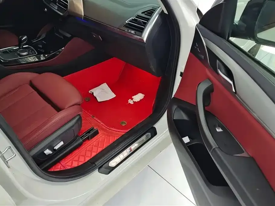 BMW X4 2023 из CN, фото 2