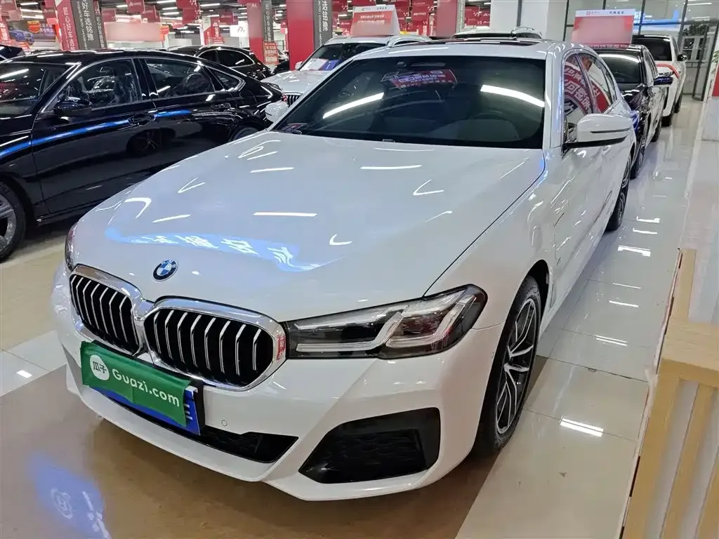 BMW 5 Series New Energy 2021 из CN, фото 4
