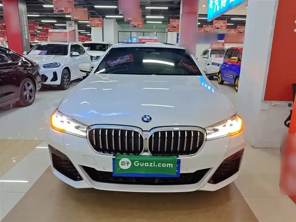 BMW 5 Series New Energy 2021 из CN, фото 8