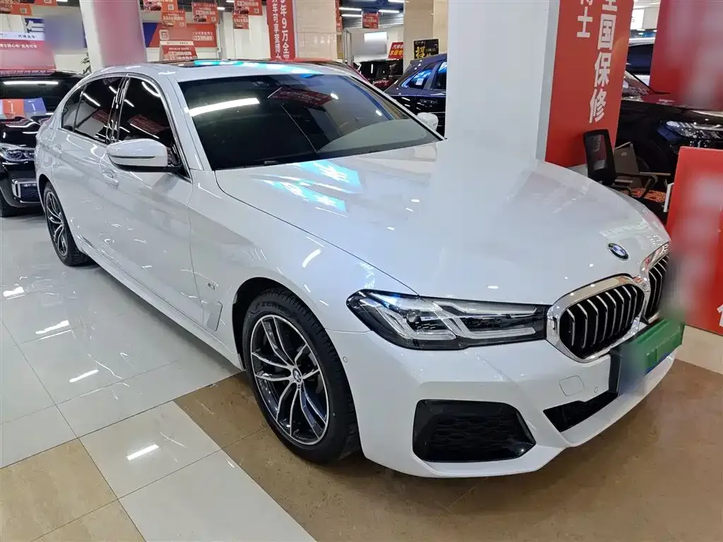 BMW 5 Series New Energy 2021 из CN, фото 5