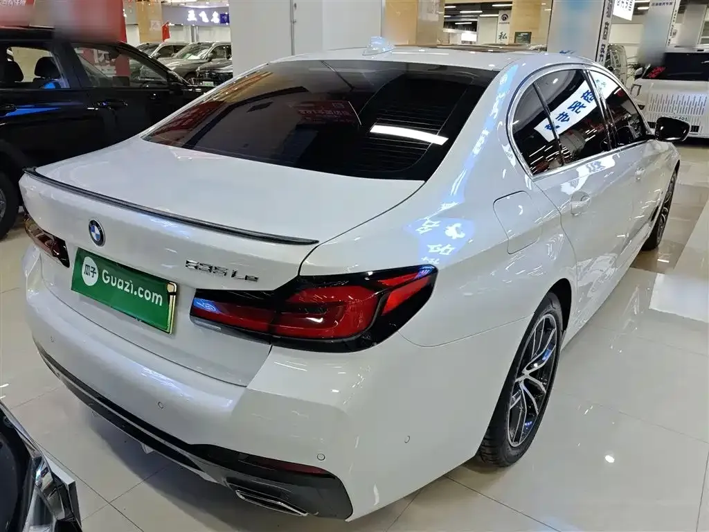 BMW 5 Series New Energy 2021 из CN, фото 3
