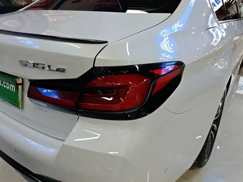 BMW 5 Series New Energy 2021 из CN, фото 6