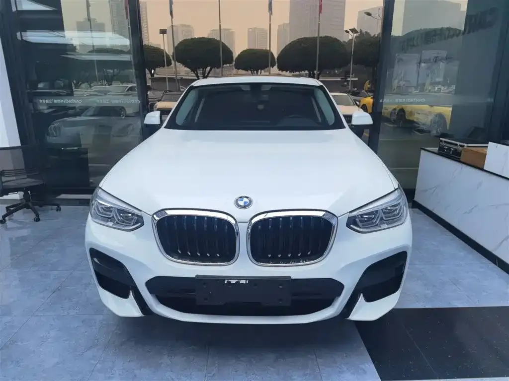 BMW X4 2021 из CN, фото 6