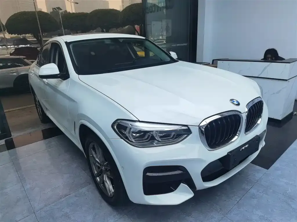 BMW X4 2021 из CN, фото 4