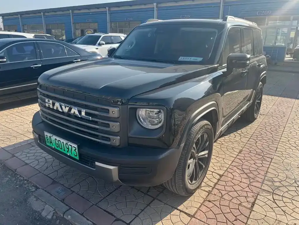 Haval Menglong New Energy 2024 из CN, фото 1