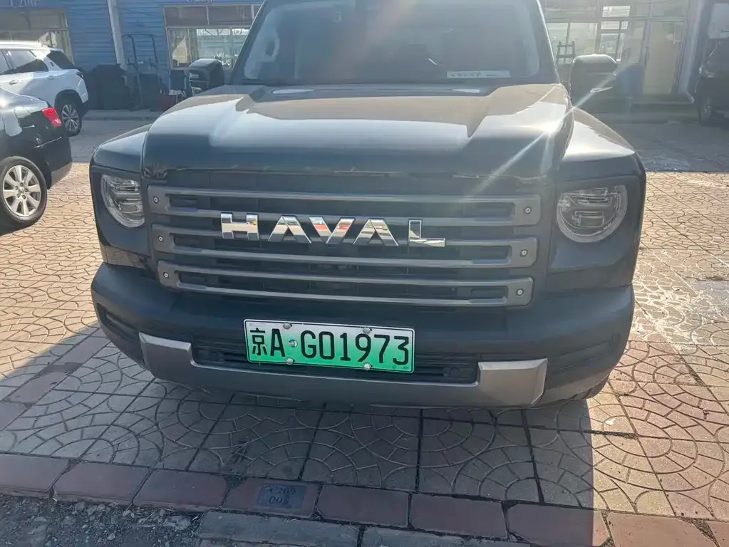 Haval Menglong New Energy 2024 из CN, фото 9