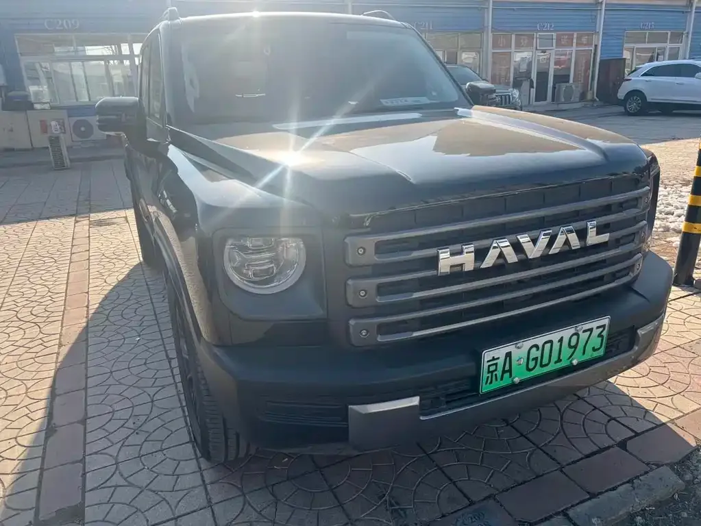 Haval Menglong New Energy 2024 из CN, фото 7