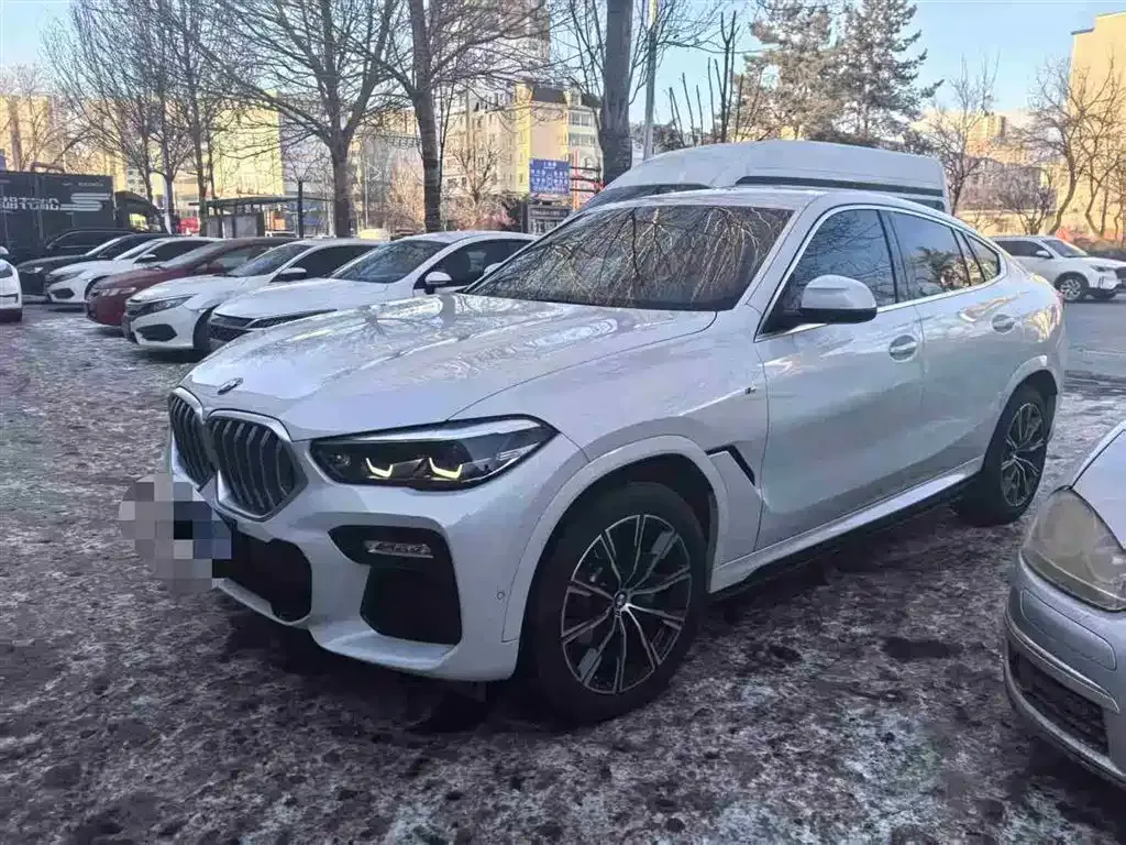 BMW X6 2021 из CN, фото 1