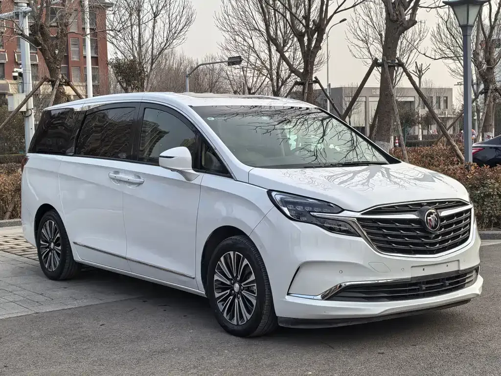 Buick GL8 2021 из CN, фото 7