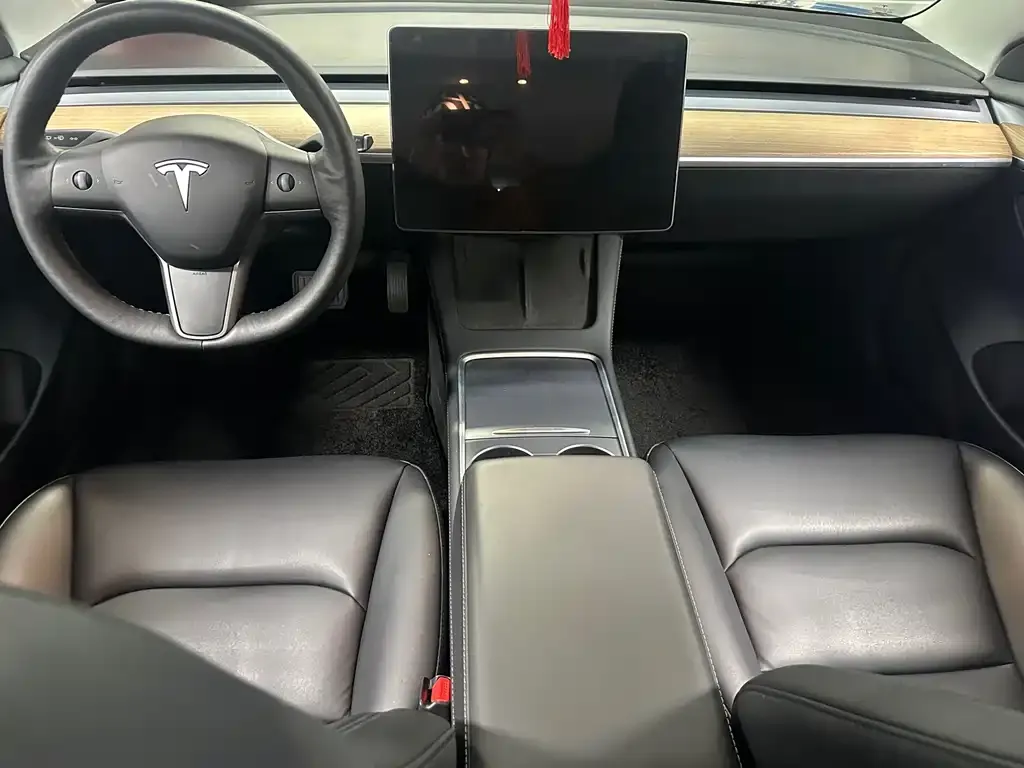 Tesla Model 3 2022 из CN, фото 4