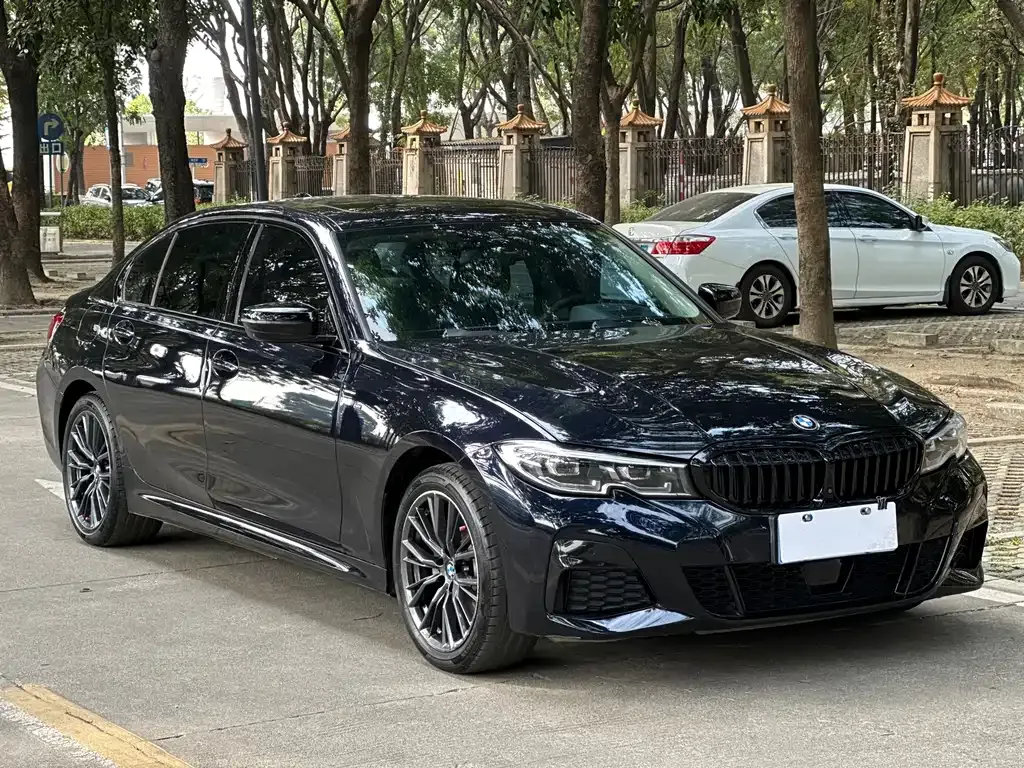 BMW 3 Series 2021 из CN, фото 9