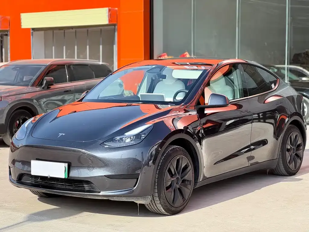 Tesla Model Y — фото 1