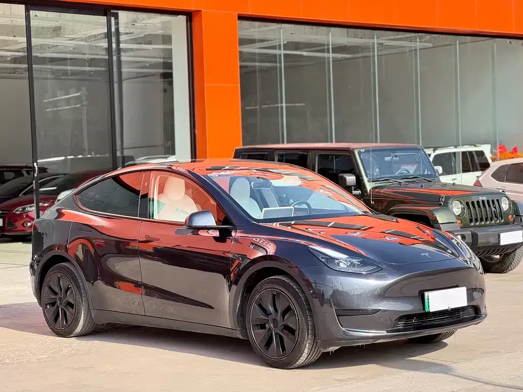 Tesla Model Y — фото 9