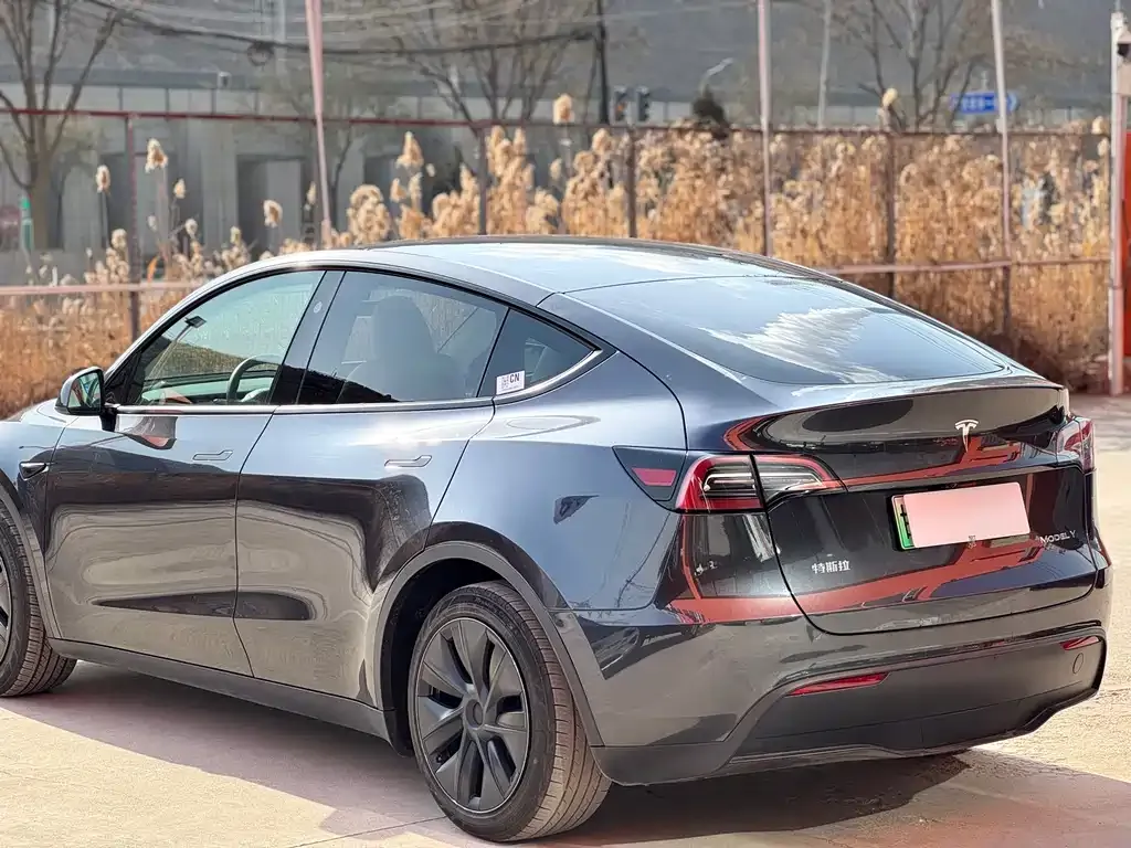 Tesla Model Y — фото 7