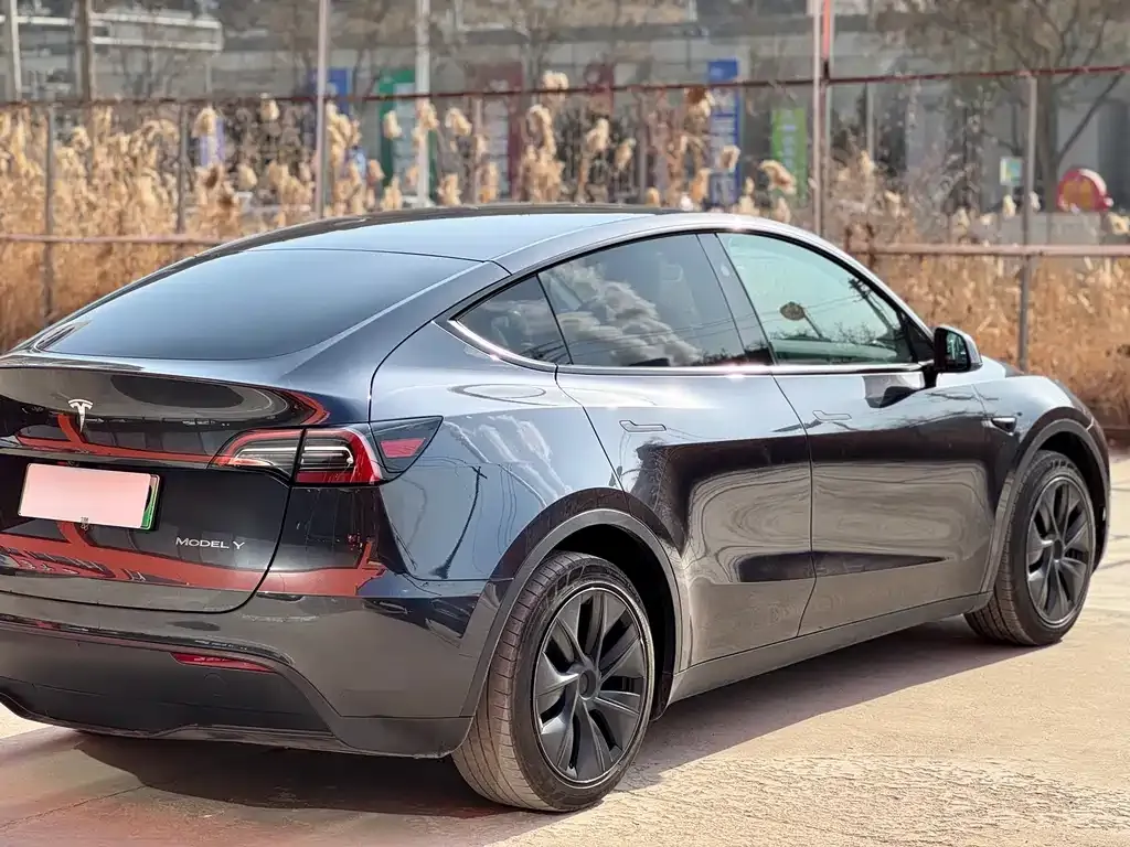 Tesla Model Y — фото 8