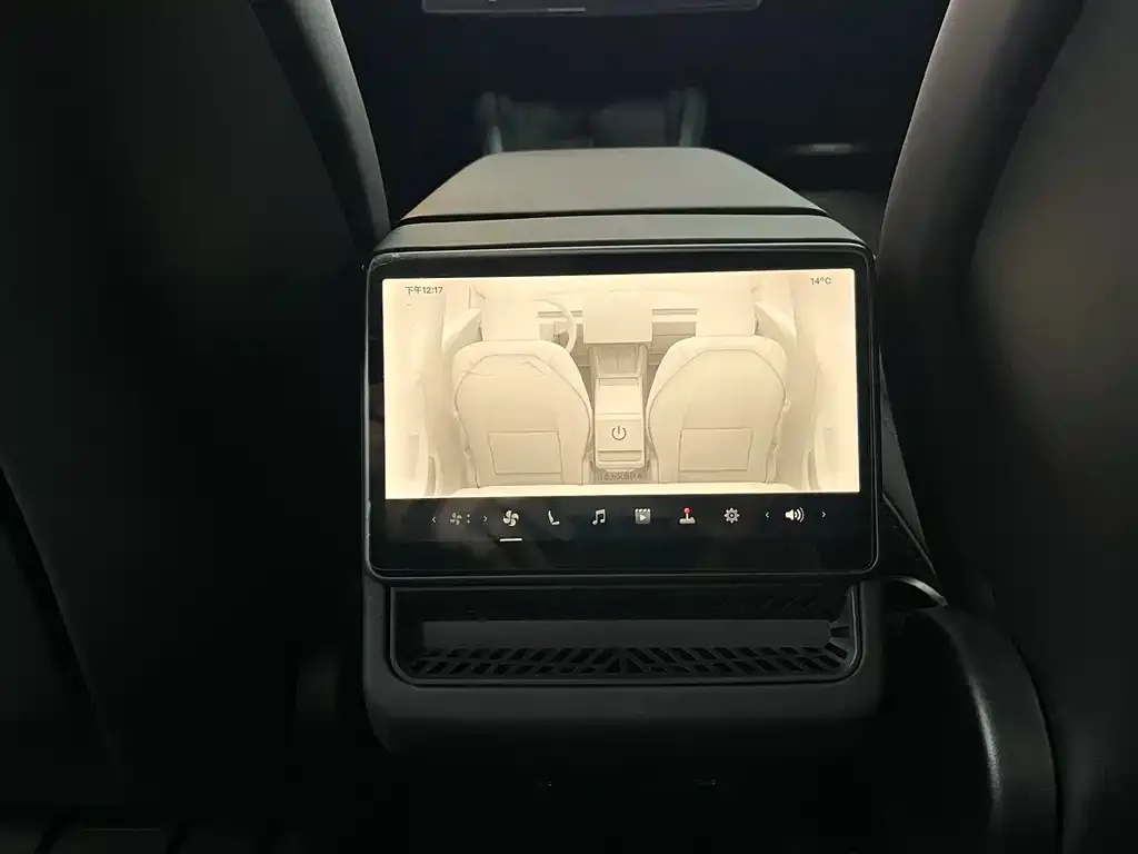 Tesla Model 3 2025 из CN, фото 6