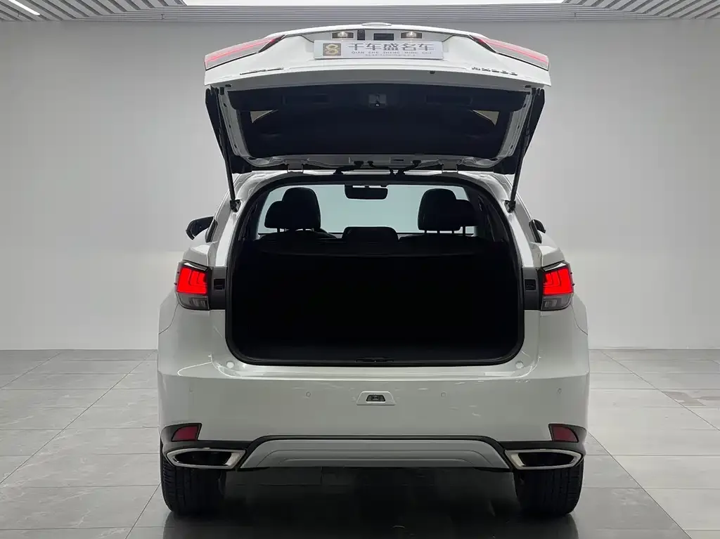 Lexus RX 2022 из CN, фото 2