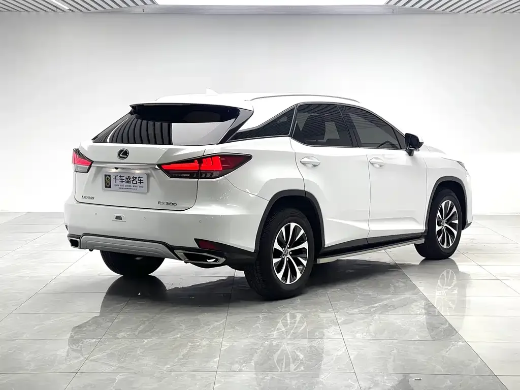 Lexus RX 2022 из CN, фото 5