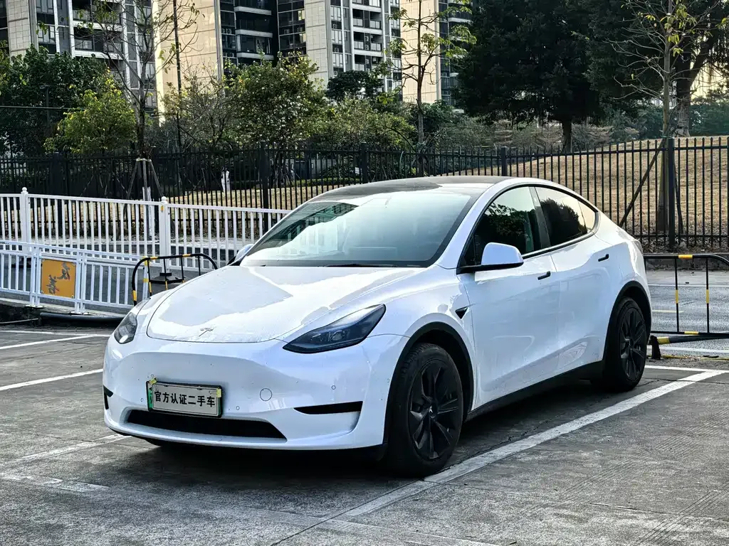 Tesla Model Y 2023 из CN, фото 1