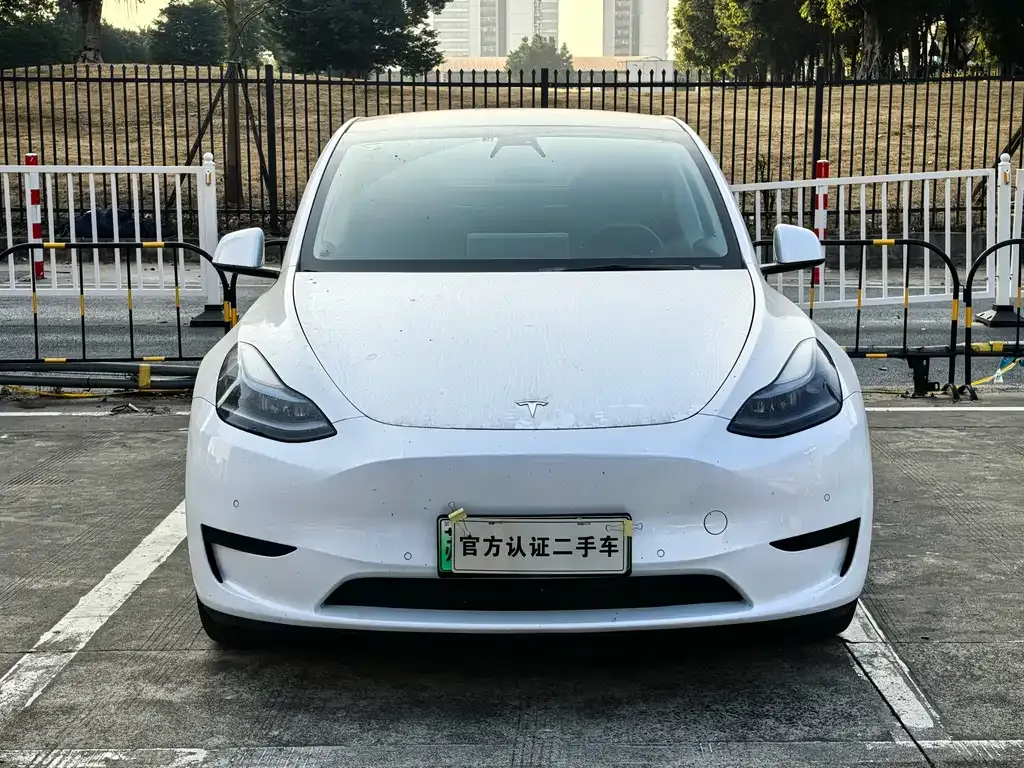 Tesla Model Y 2023 из CN, фото 8