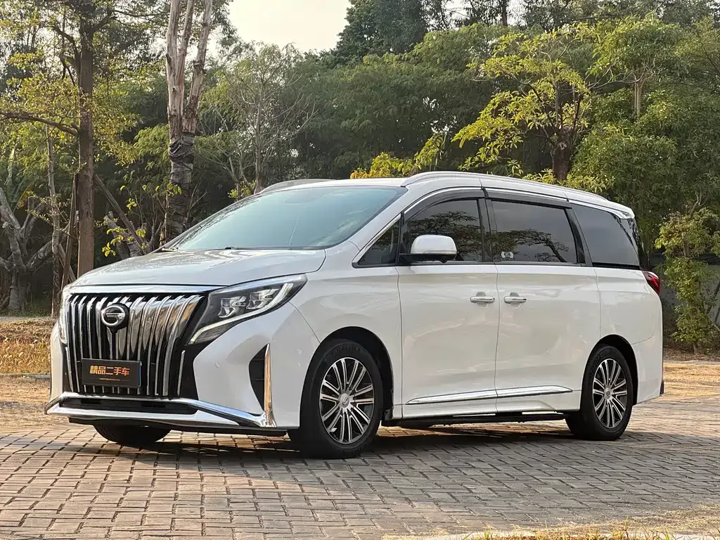 GAC Motor Trumpchi M8 2023 из CN, фото 1