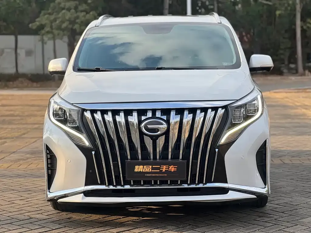 GAC Motor Trumpchi M8 2023 из CN, фото 6