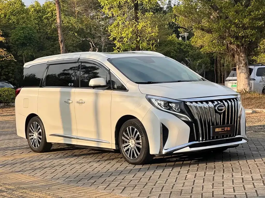 GAC Motor Trumpchi M8 2023 из CN, фото 9