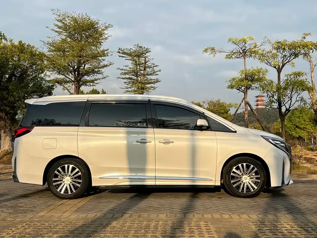 GAC Motor Trumpchi M8 2023 из CN, фото 10