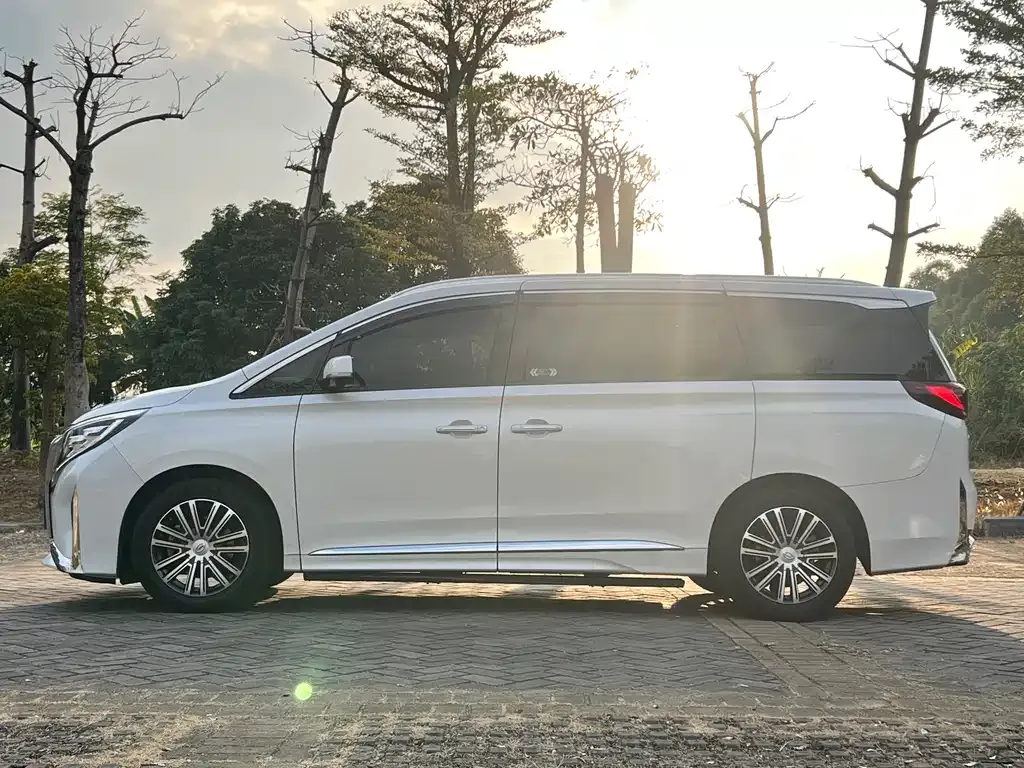 GAC Motor Trumpchi M8 2023 из CN, фото 5