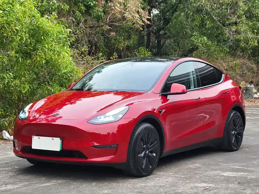 Tesla Model Y — фото 1