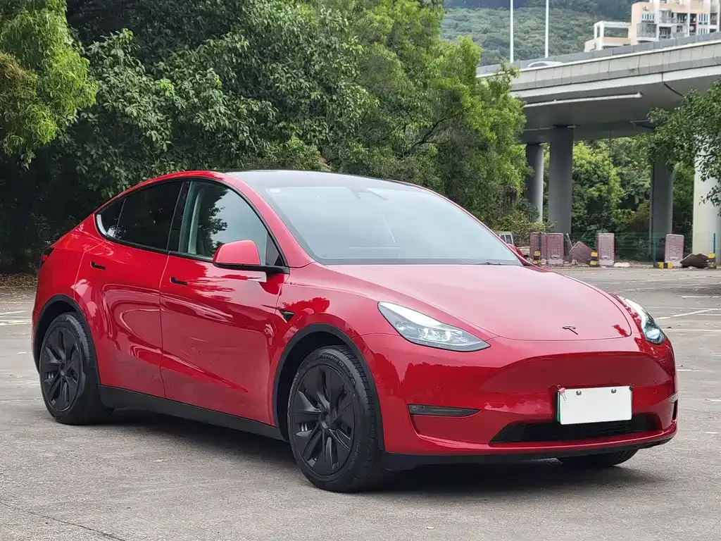 Tesla Model Y — фото 10