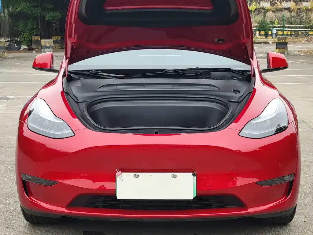 Tesla Model Y — фото 8