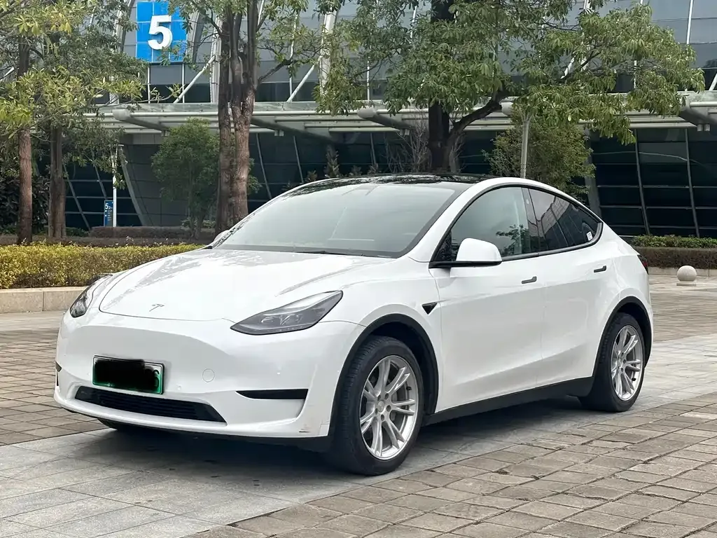 Tesla Model Y 2023 из CN, фото 1