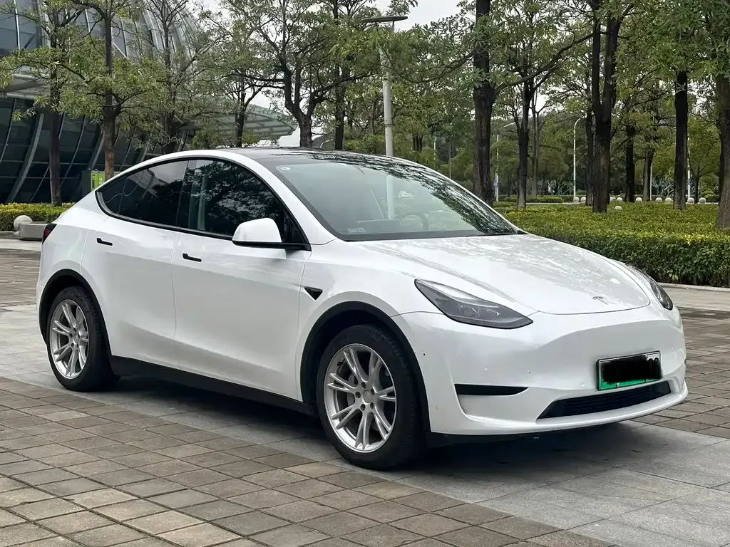 Tesla Model Y 2023 из CN, фото 6