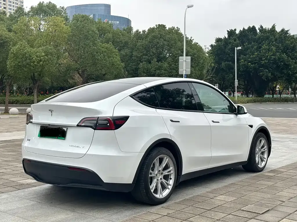 Tesla Model Y 2023 из CN, фото 9