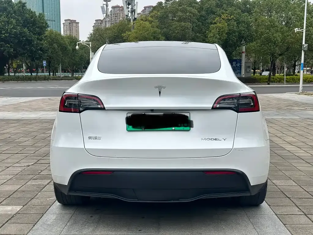 Tesla Model Y 2023 из CN, фото 8