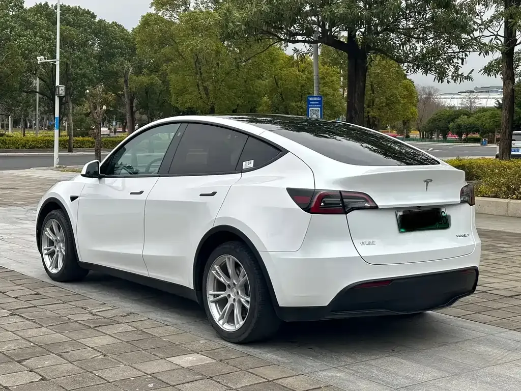 Tesla Model Y 2023 из CN, фото 7