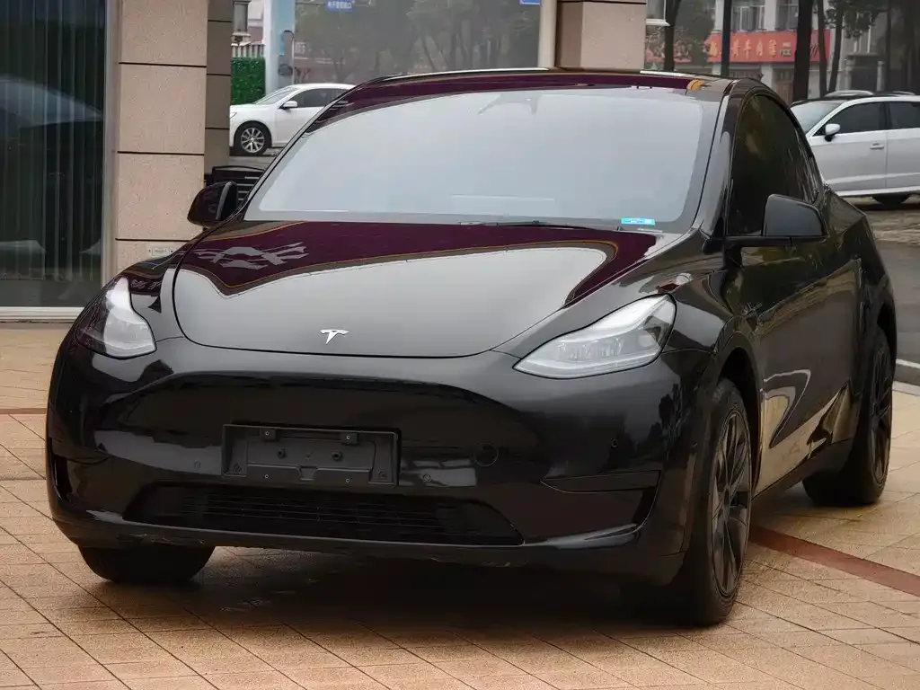 Tesla Model Y — фото 1