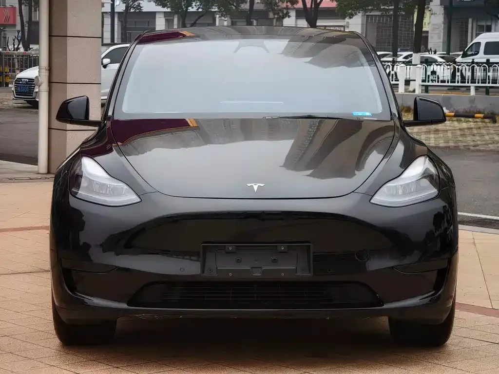 Tesla Model Y — фото 10