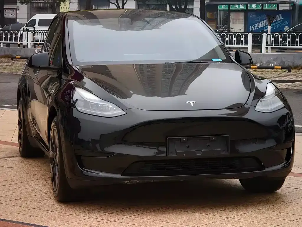 Tesla Model Y — фото 7