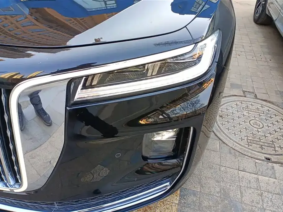 Hongqi H9 2021 из CN, фото 8