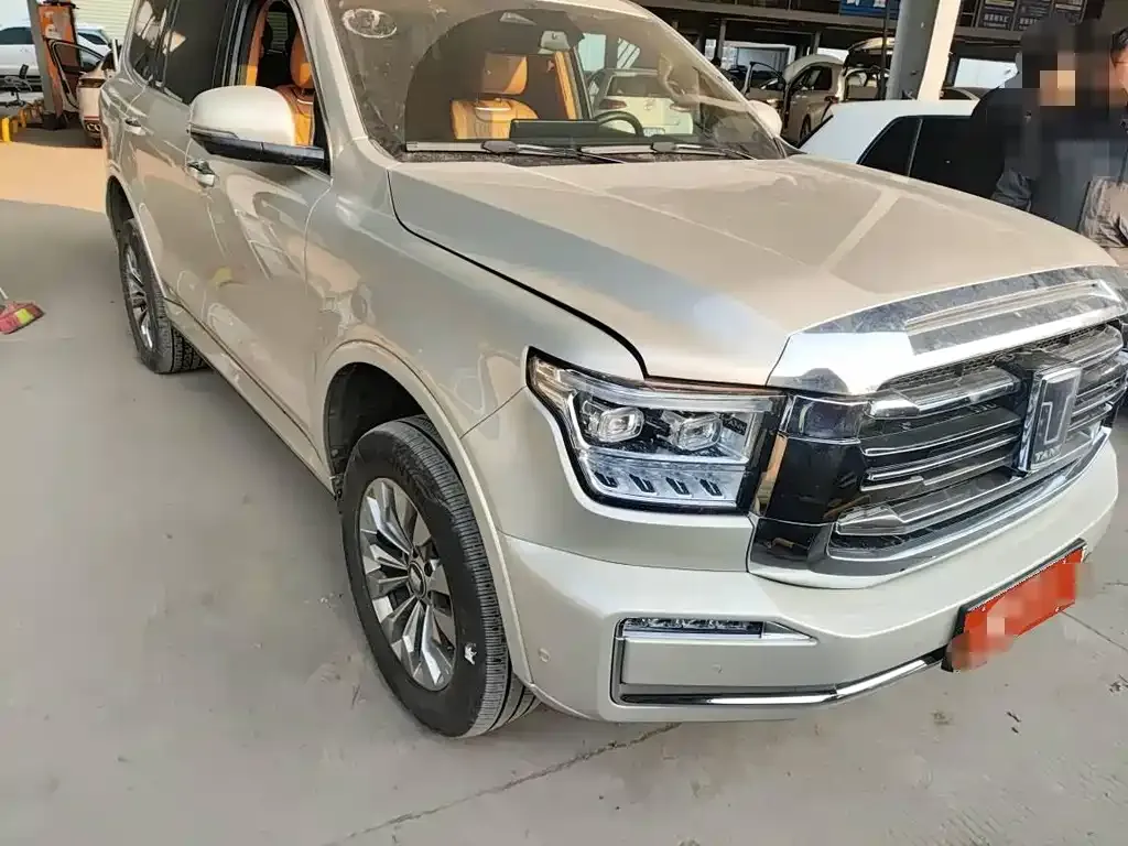 Tank 500 New Energy 2023 из CN, фото 8