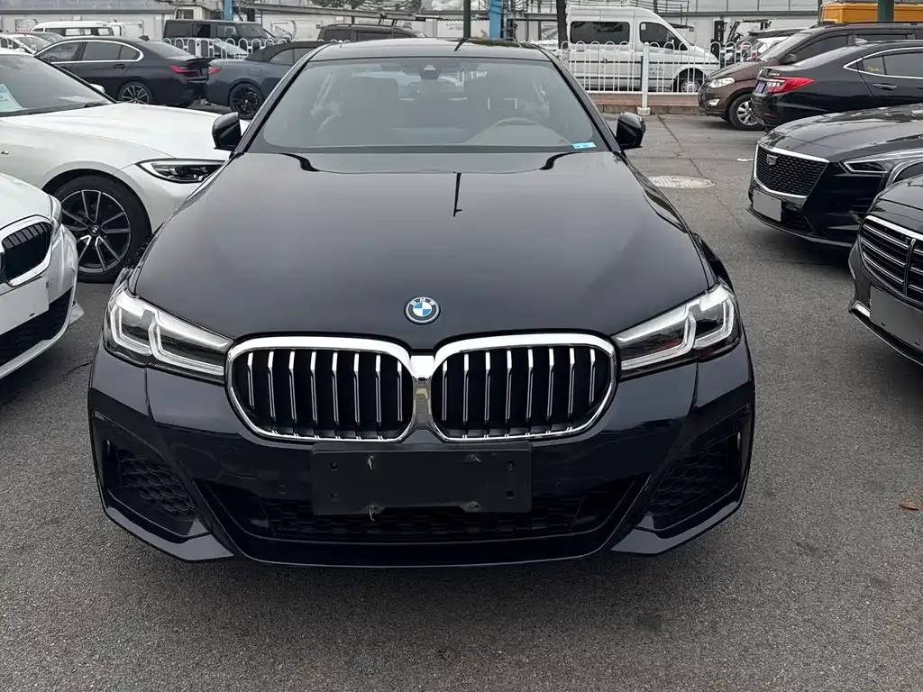 BMW 5 Series New Energy 2023 из CN, фото 1