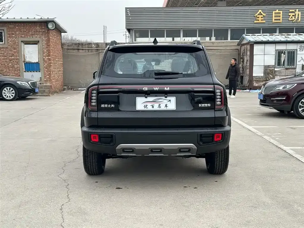Haval Big Dog 2026 из CN, фото 3