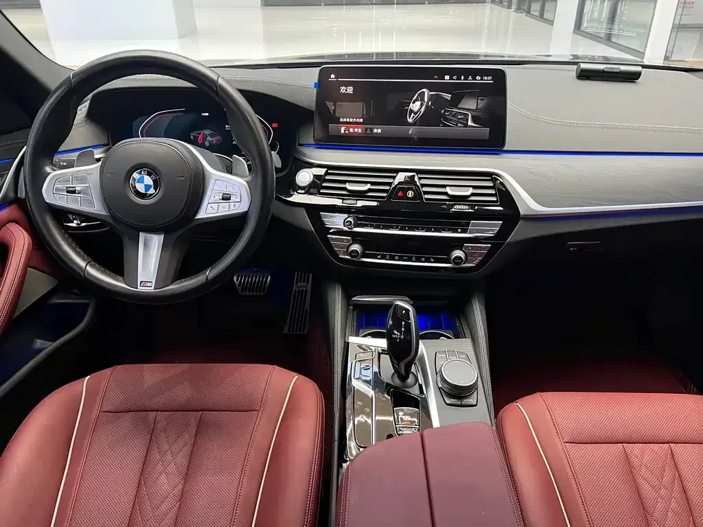BMW 5 Series 2023 из CN, фото 8