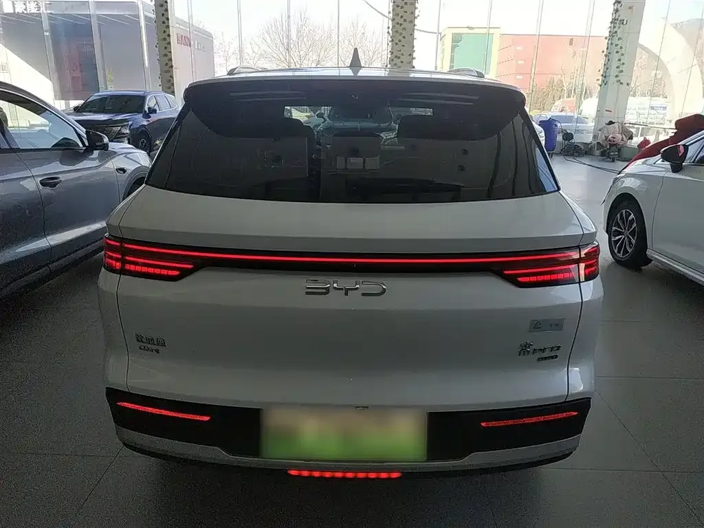 BYD Pro New Energy — фото 10